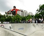 Skatepark Berg Fidel