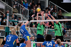 Sportstadt Münster: Volleyball