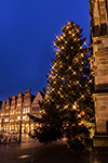 Weihnachtstanne an der Lambertikirche