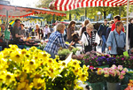 Der Wochenmarkt auf dem Domplatz