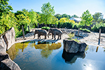 Allwetterzoo