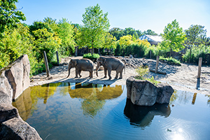 Allwetterzoo