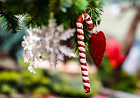 Zuckerstange Weihnachtsdekoration: Zuckerstange und Schneeflocke am Tannenbaum
