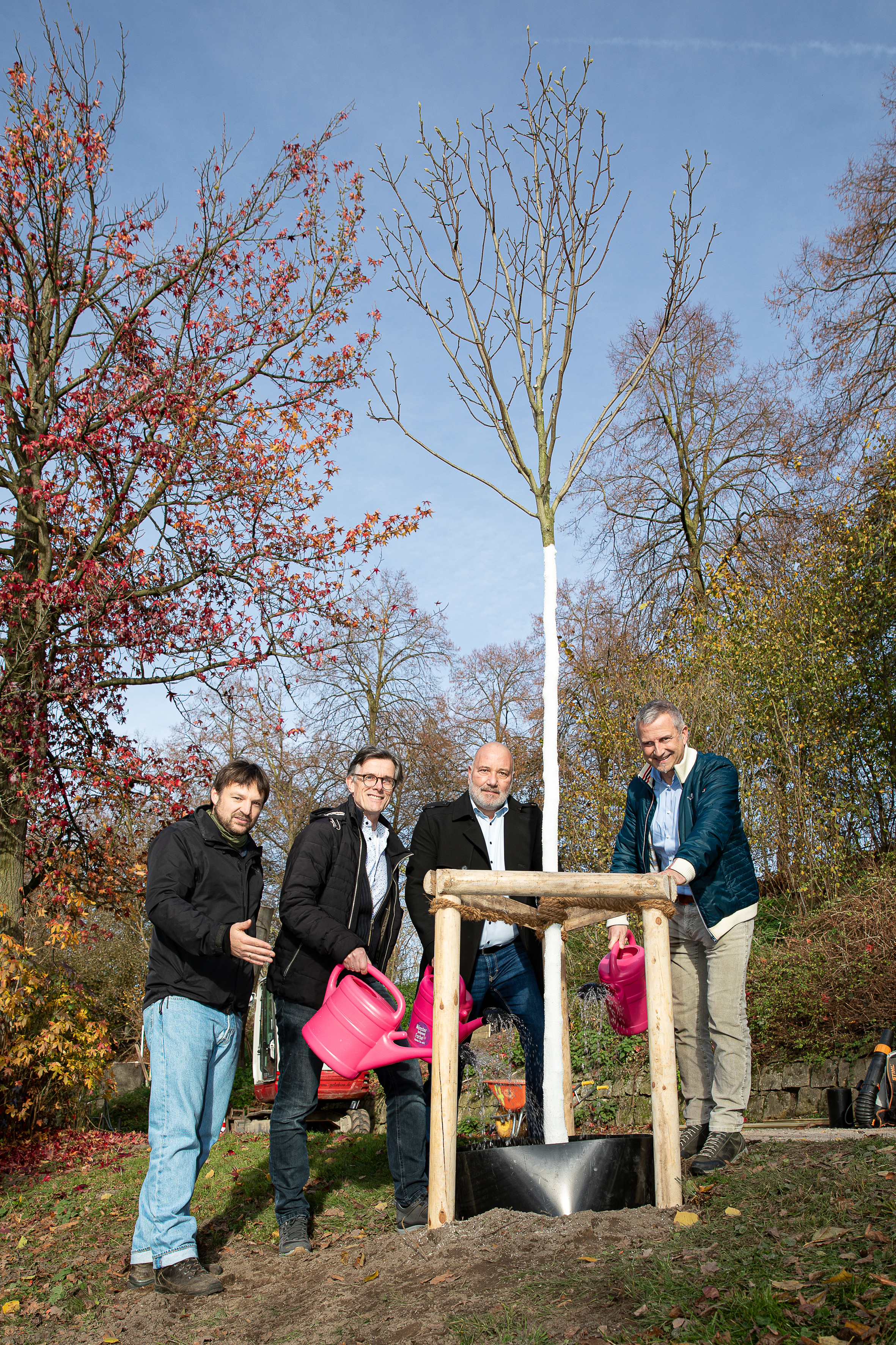 Vier Männer gruppieren sich um einen frisch geplanzten Baum, einer trägt eine Gießkanne.