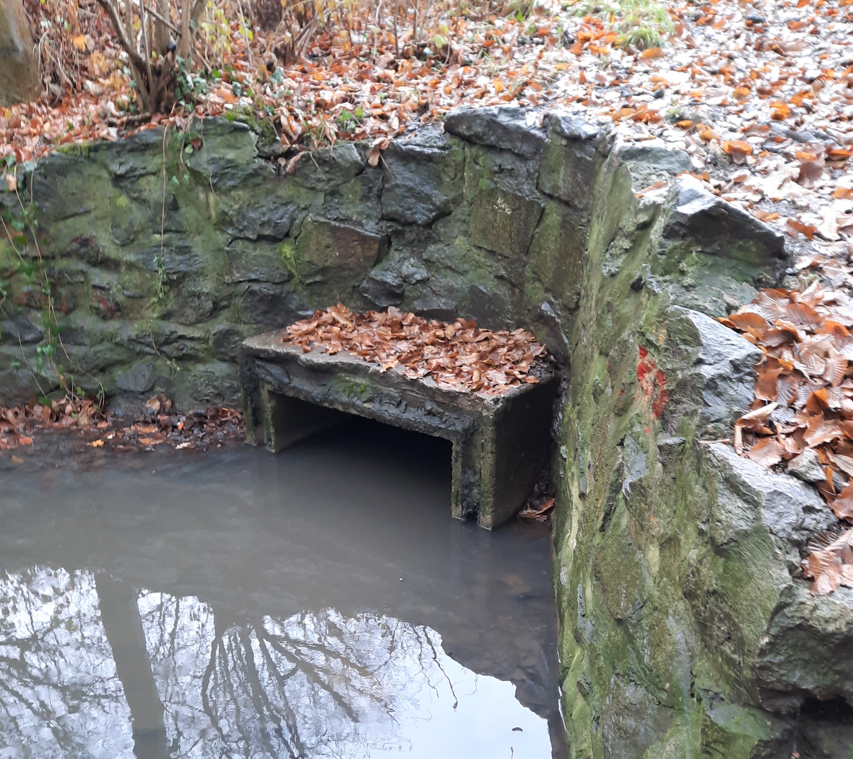 Der Vornholtgraben in Gremmendorf