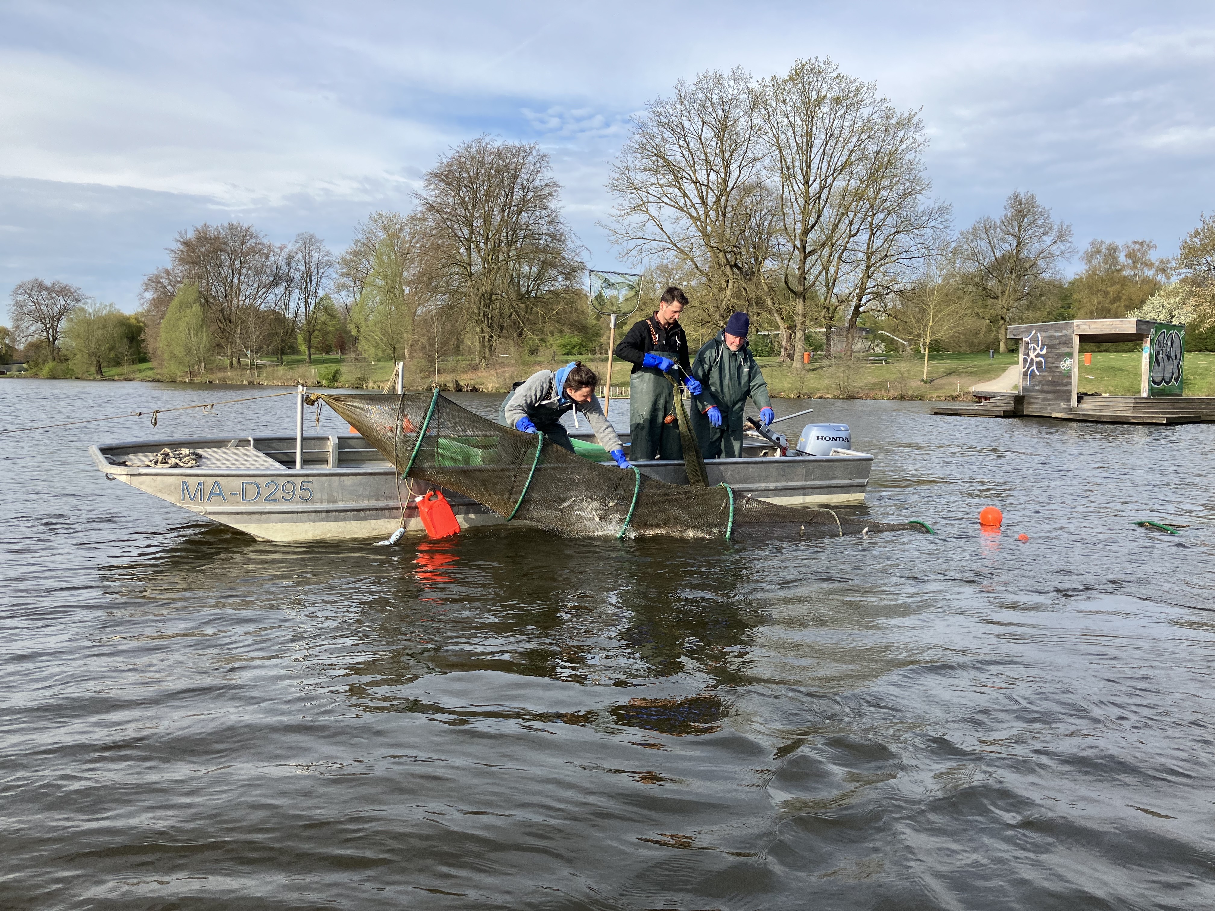 Drei Männer auf einem Boot auf dem Aasee. Sie fischen Friedfische, im Hintergrund ist der Steg zu sehen. 