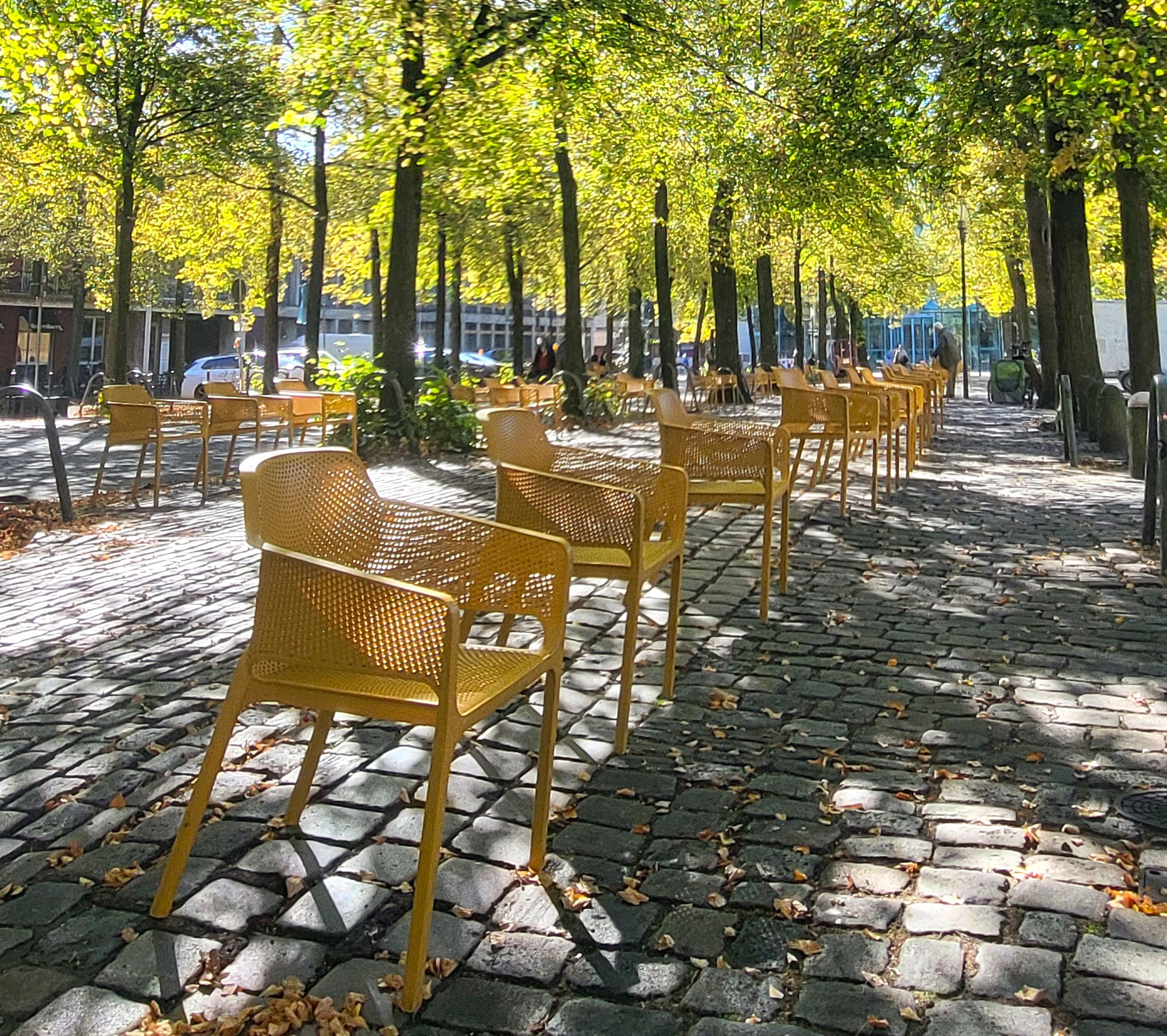 Gelbe Stühle im Schatten der Bäume auf dem Domplatz
