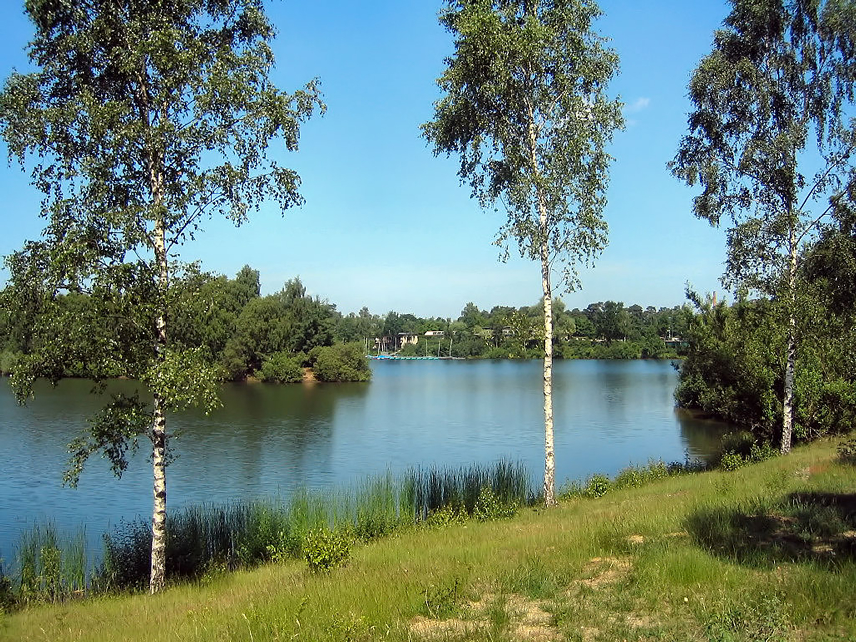 Blick auf den sommerlichen Hiltruper See, im Vordergrund Wiese und drei Bäume