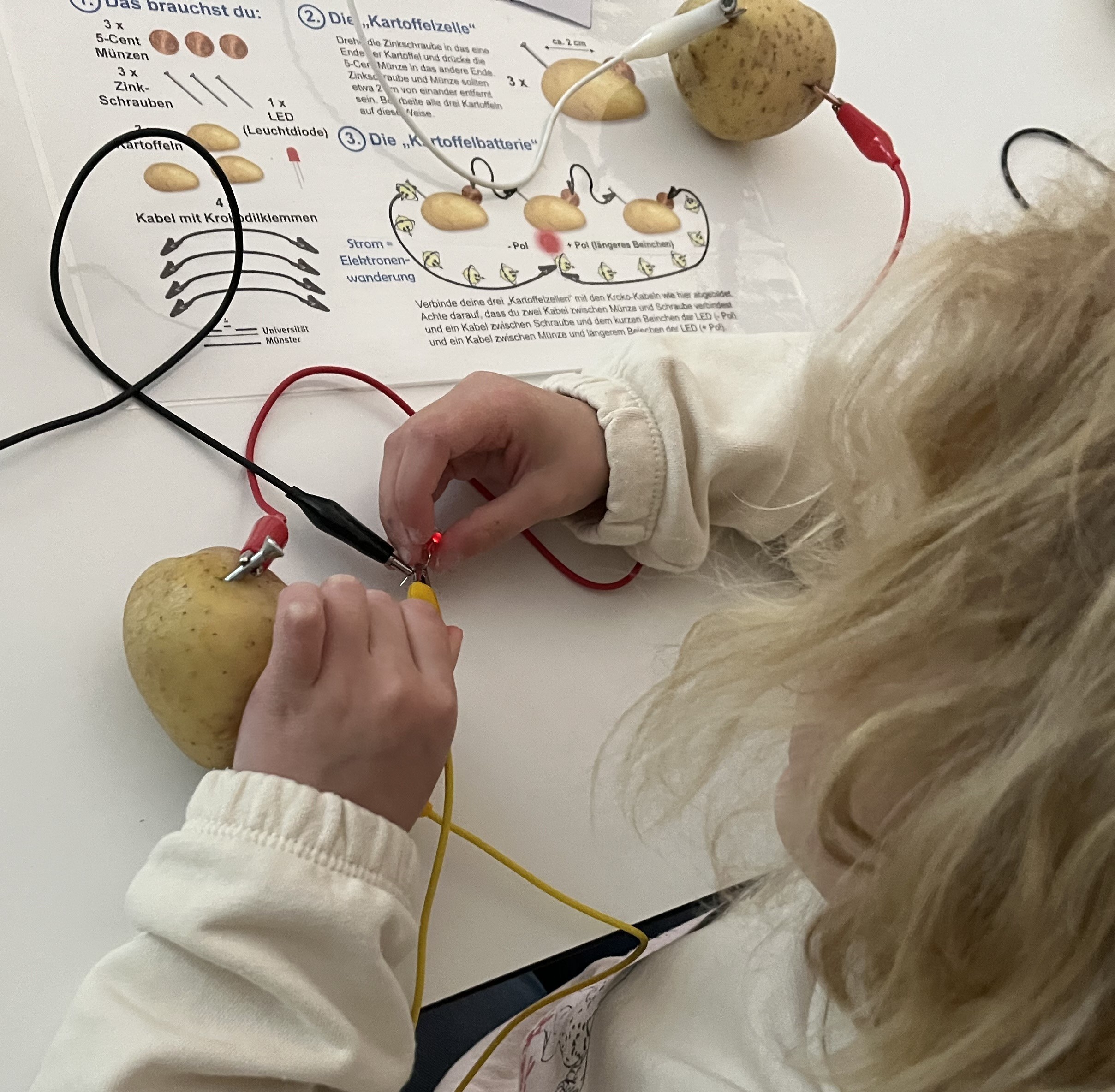 Ein Kind steckt ein Kabel in eine Kartoffel