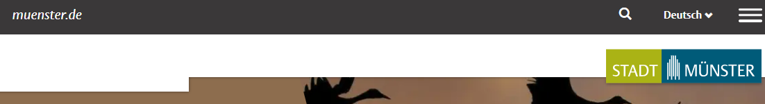 Ansicht des oberen Teils der Internet-Seite