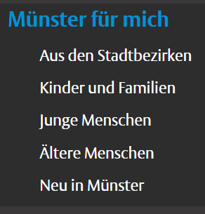 Ansicht des Menüs "Münster für mich"
