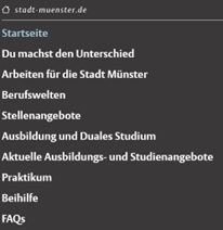 Ansicht des Karriere-Menüs mit den Untermenüs