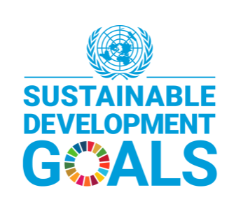 Das Schiftlogo von "Sustainable Development Goals"