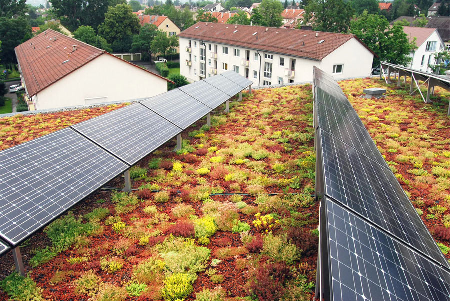 Dachbegrünung und Solarpanele