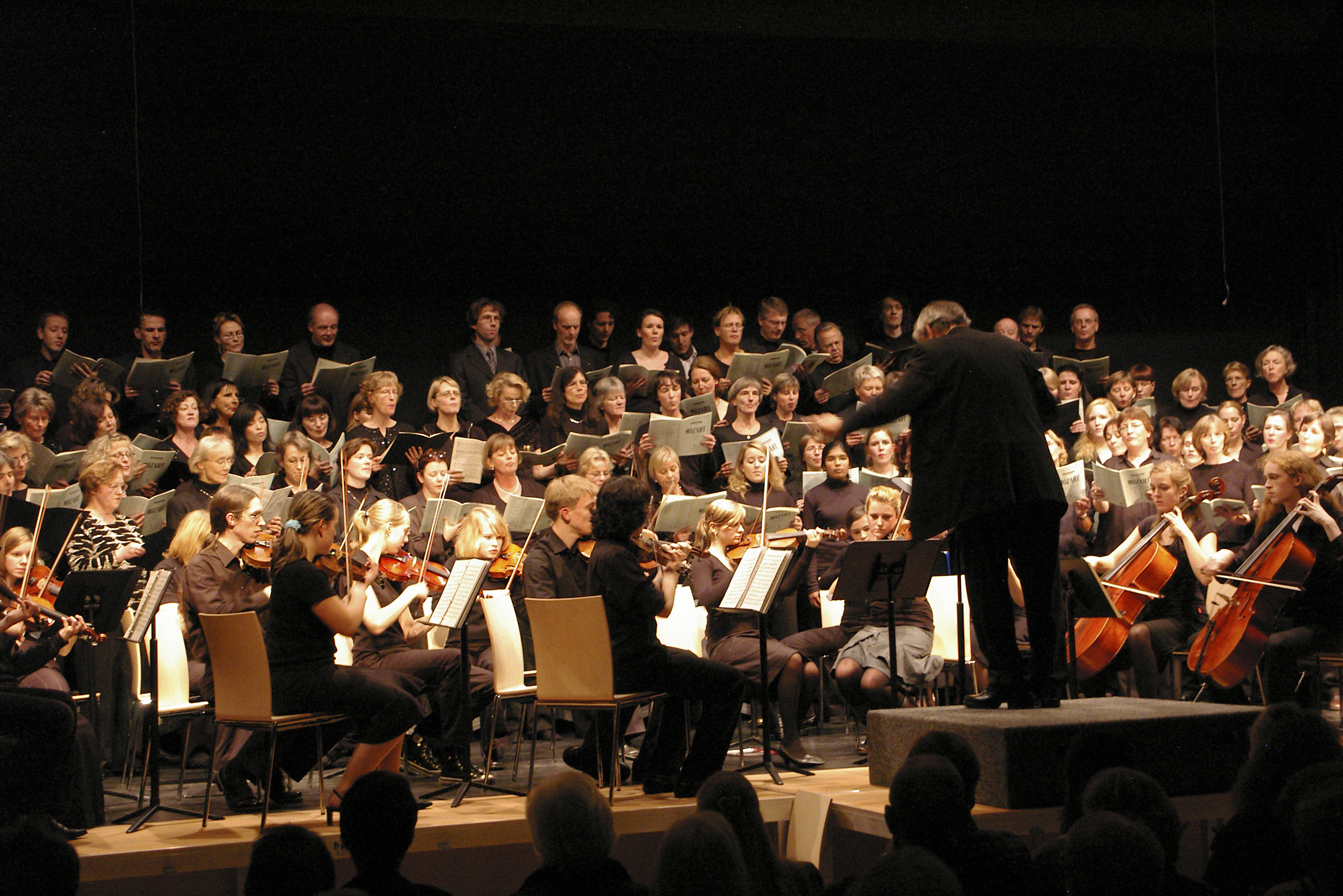 Dirigent vor Musikorchester