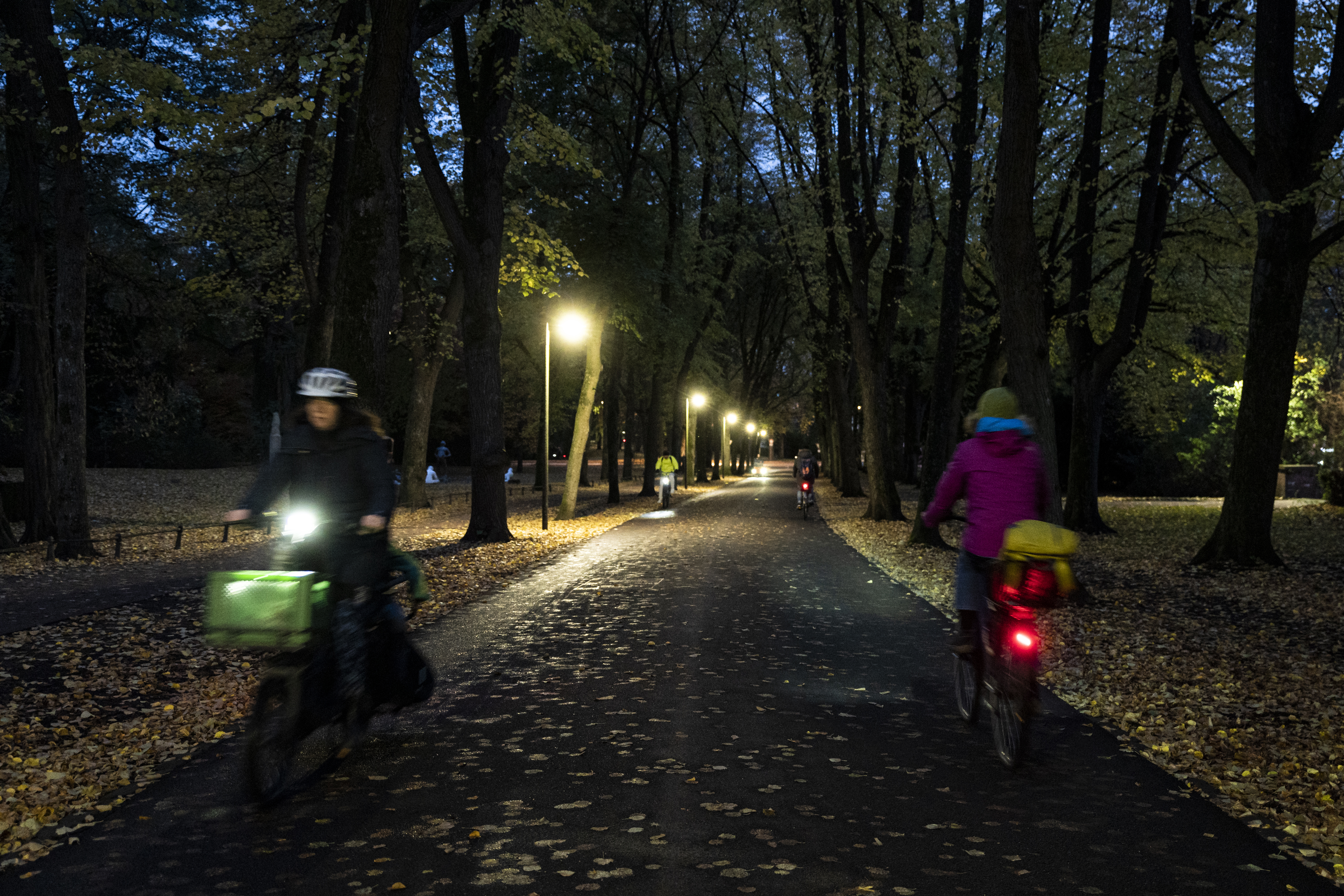 Radfahrer mit Licht im Dunkeln auf der Promenade in Münster.
