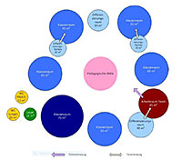 Funktionsschema Sekundarstufe 1