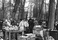 Verkaufsstände und Marktbesucher auf dem Domplatz