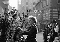 Blumenverkauf am Domplatz, im Hintergrund das Rathaus