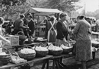 Eierverkauf auf dem Markt