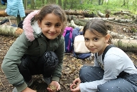 Zwei Mädchen im Grundschulalter sammeln im Wald Material im Rahmen ihres MitSprache-Kurses