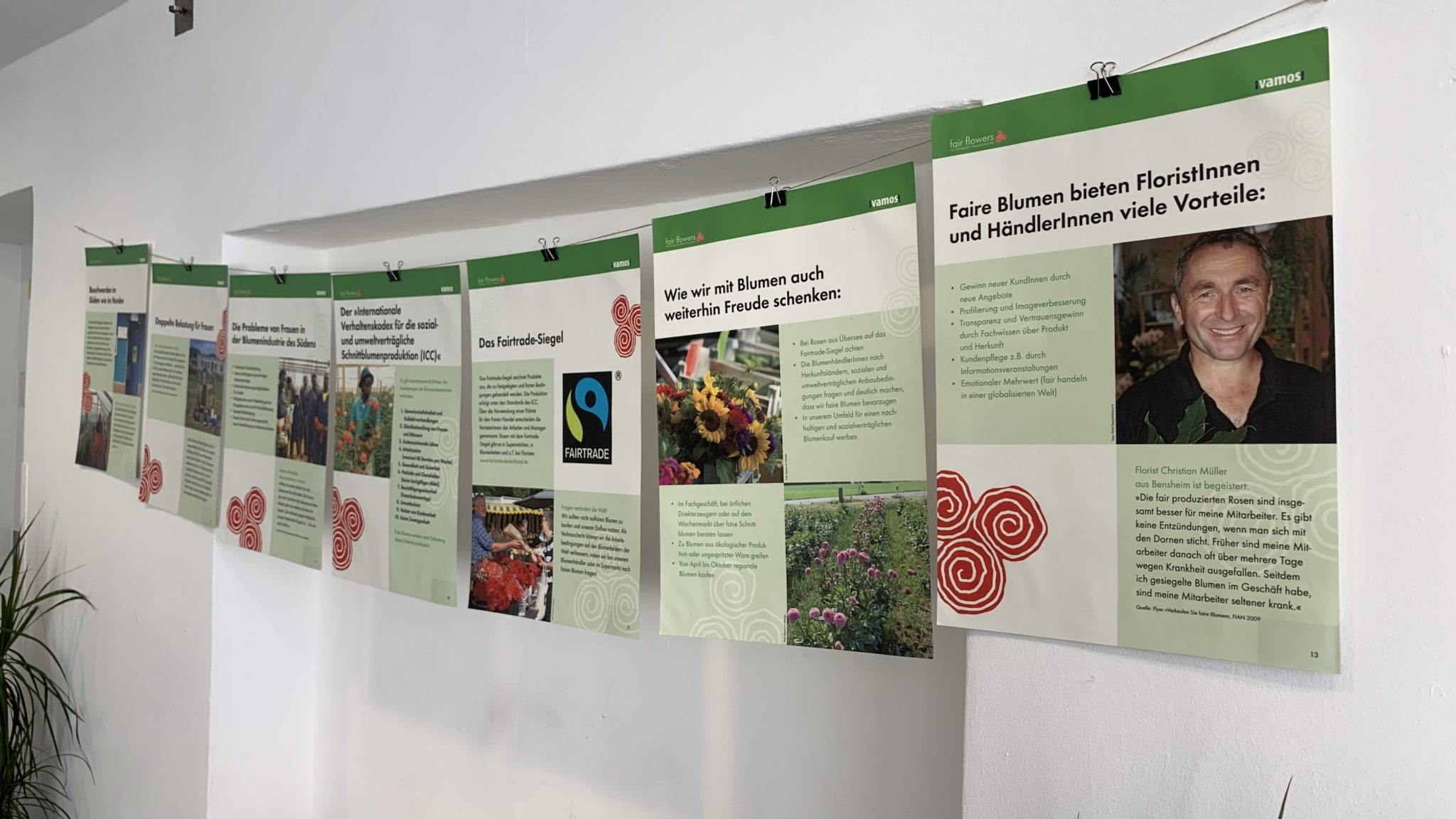 Tafeln mit Bild und Text in weiß und grün nebeneinander aufgehängt