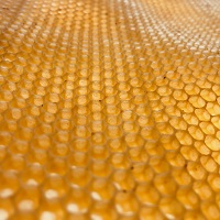 Abbildung einer Bienenwabe