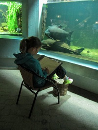 Abbildung eines Mädchens vor einem Aquarium im Zoo