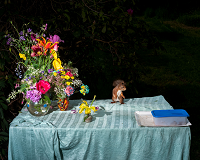 Kunstfotografie eines Tisches, auf dem ein farbenfroher Blumenstrauß steht. Daneben ein Eichhörnchen.