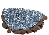 Kunstwerk „gifts from the forest – where the trees talk to the sky“ von Ria Geerdink