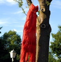 Strang aus roter Wolle an einem Baum hängend