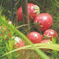 Anordnung von Keramikerdbeeren im Beet