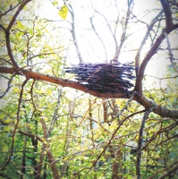 Vogelnest aus Kleiderbügeln