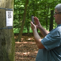 QR-Codes an Baumstämmen