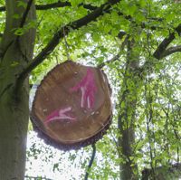Abdruck auf Holzscheibe, in einem Baum hängend