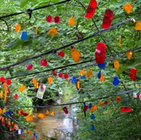 Installation mit farbigen Refelktoren im Gebüsch