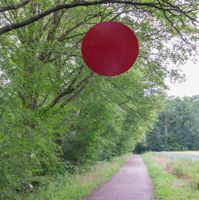 Rote Scheibe mit 180 cm Durchmesser in einem Baum hängend