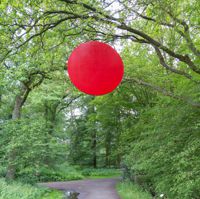 Rote Scheibe mit 180 cm Durchmesser in einem Baum hängend