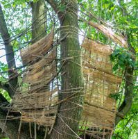 Flechtwerk aus Sisal in einem Baum