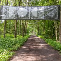 Transparent über einem Waldweg mit verschiedenen Mondphasen