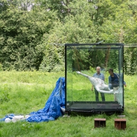 Installation aus Glaskubus mit Figur und Gleitschirm