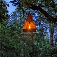 beleuchtetes Zelt, das in einem Baum hängt