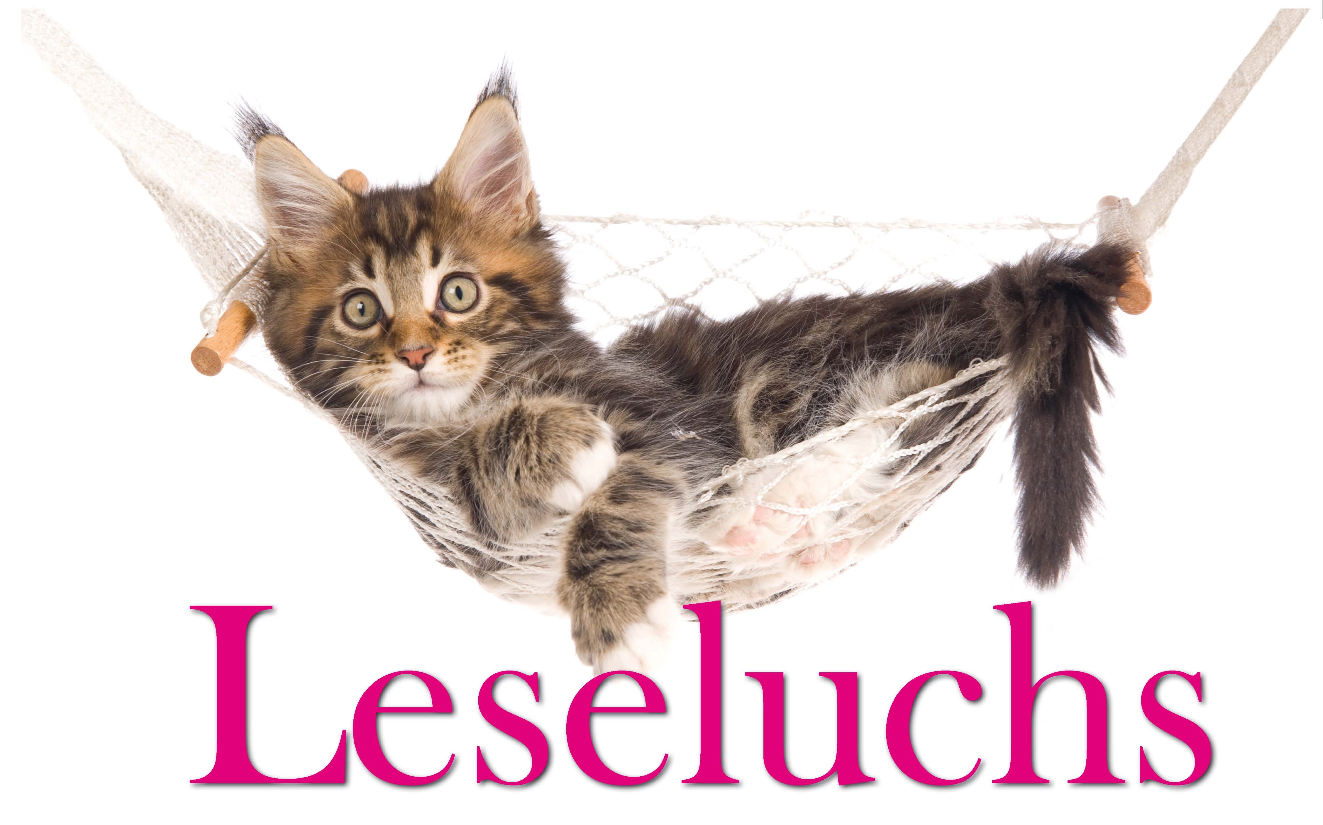 Luchs in einer Hängematte