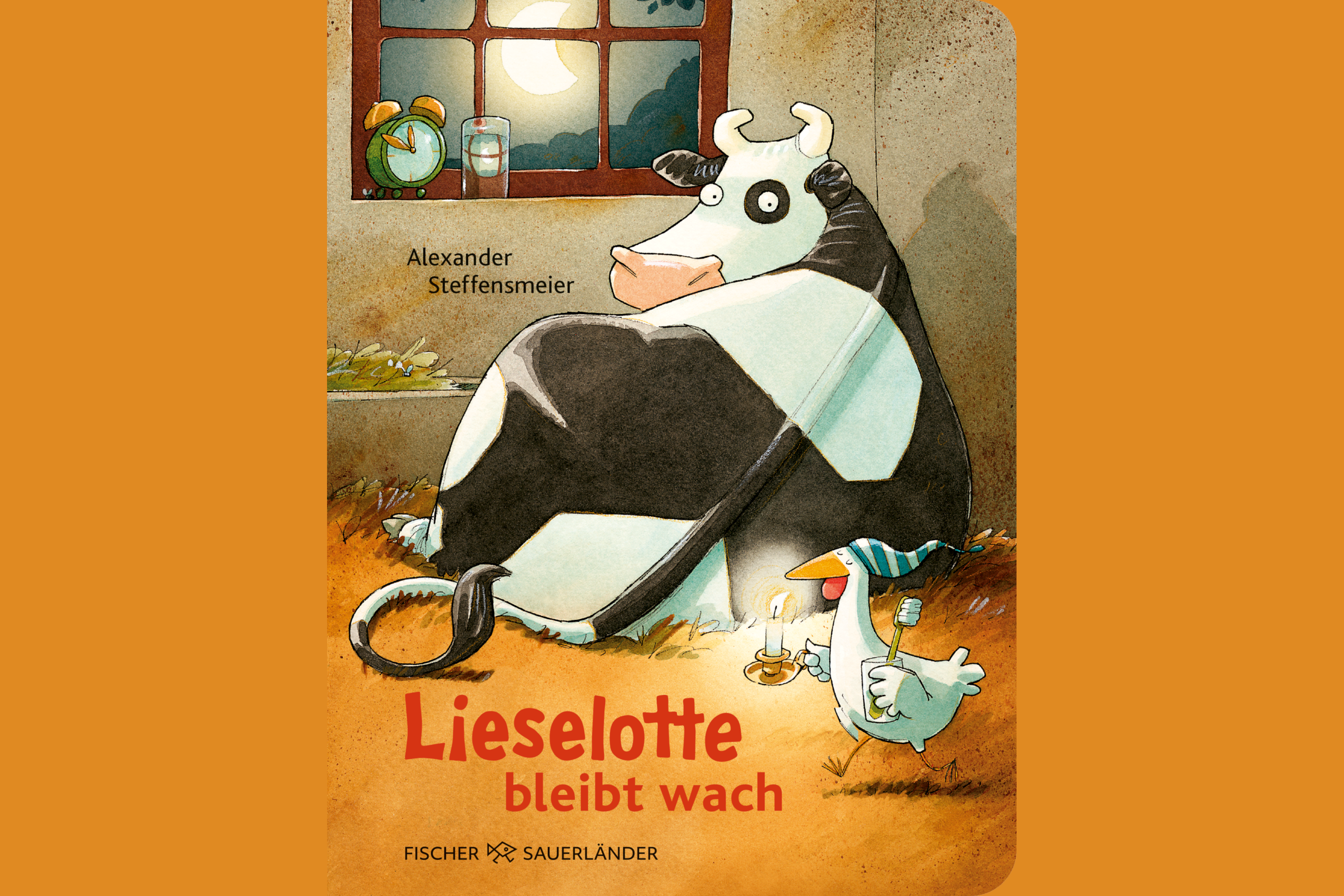 Bilderbuchcover Lieselotte bleibt wach