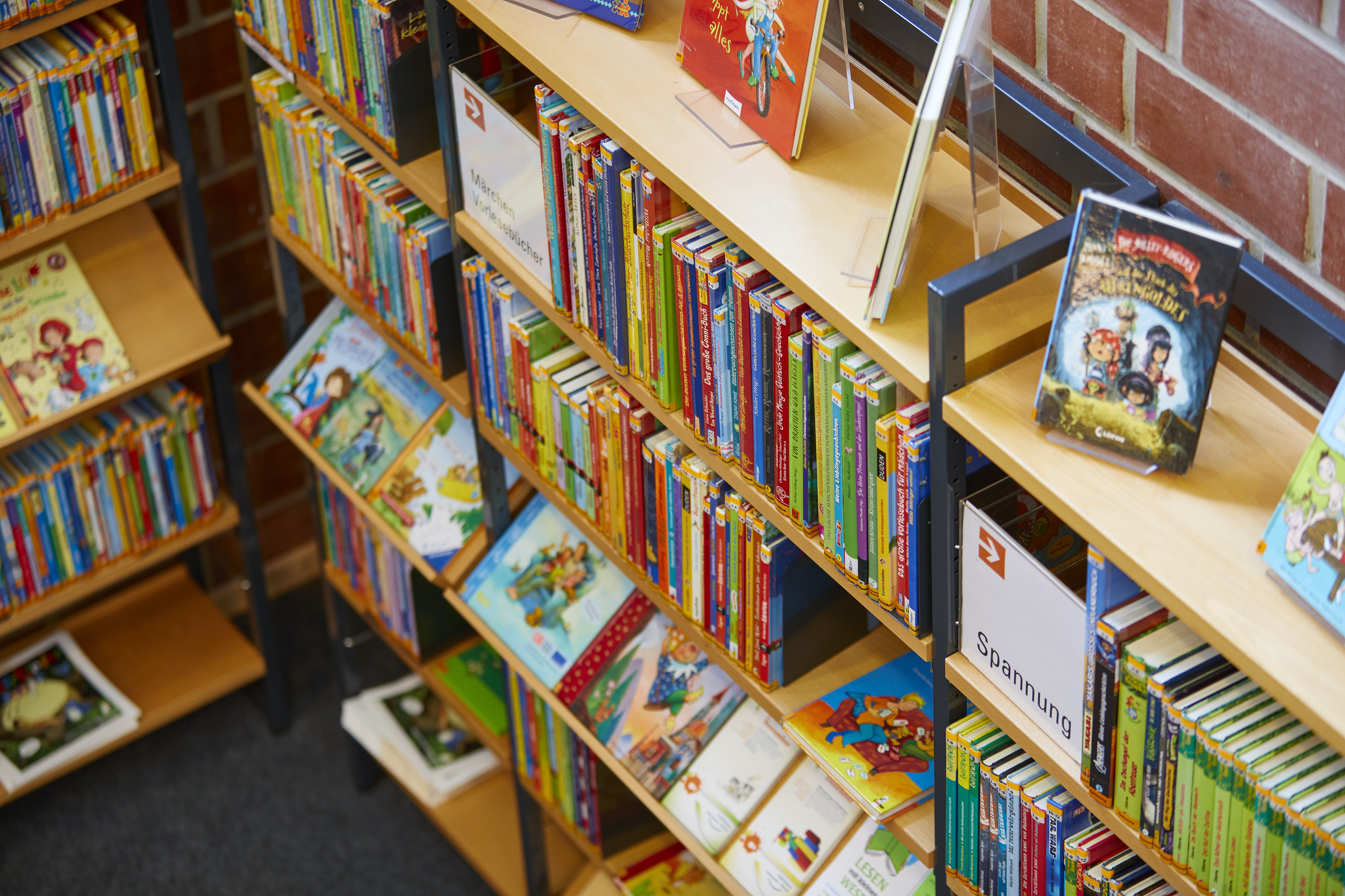 Bücherregal mit Büchern