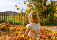 Ein Mädchen im Herbstlaub Ein Mädchen im Herbstlaub
