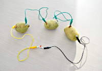 Mit Kabeln verbundene Kartoffeln