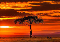 Eine afrikanische Landschaft. Bild: Eine afrikanische Landschaft.