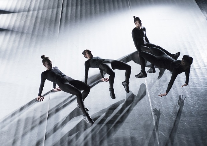 CocoonDance VIS MOTRIX