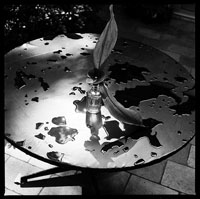 Eine Fotografie von Gunda Scheel: Vase auf einem Tisch